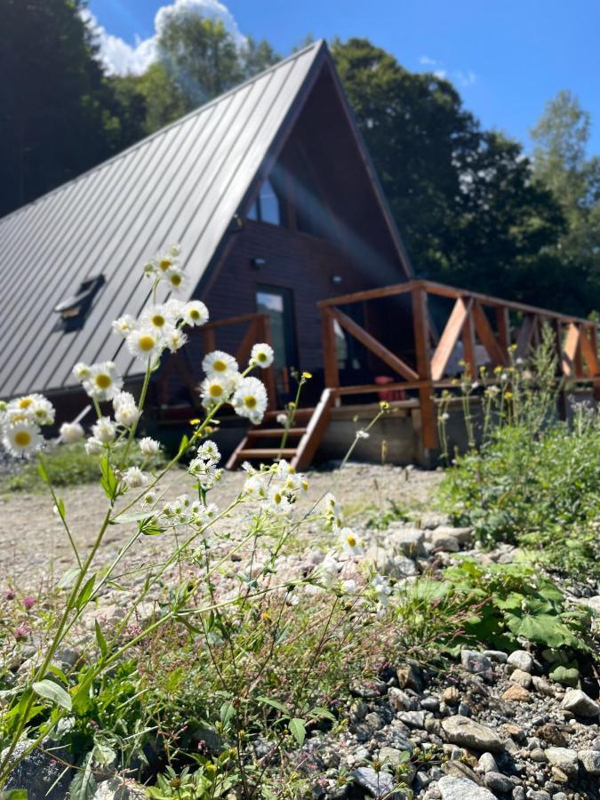 Wild Cabin Malaia Exteriér fotografie